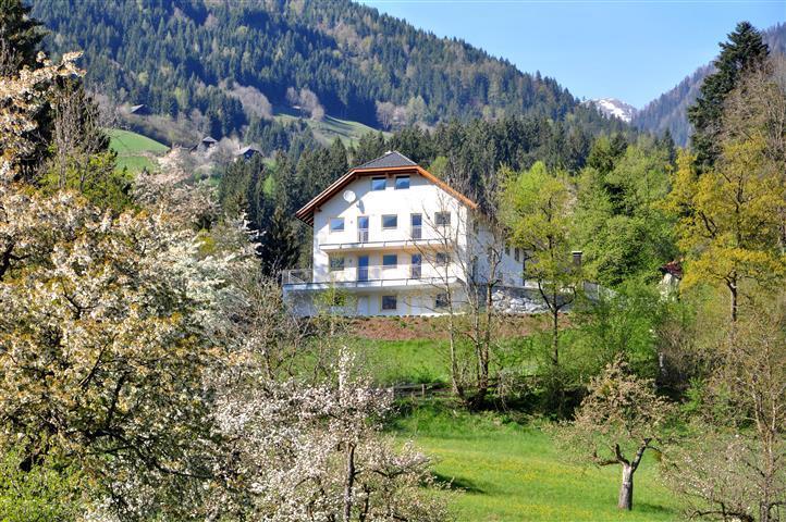 Haus Pflaum Apartman Dellach im Drautal Kültér fotó